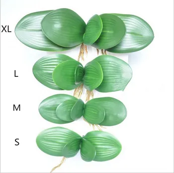 50Pcs Skutočný dotyk phalaenopsis leaf Črepníkové Rastliny DIY Svadobné dekoratívne kvety pomocné kvet Domova Orchidea listy 2