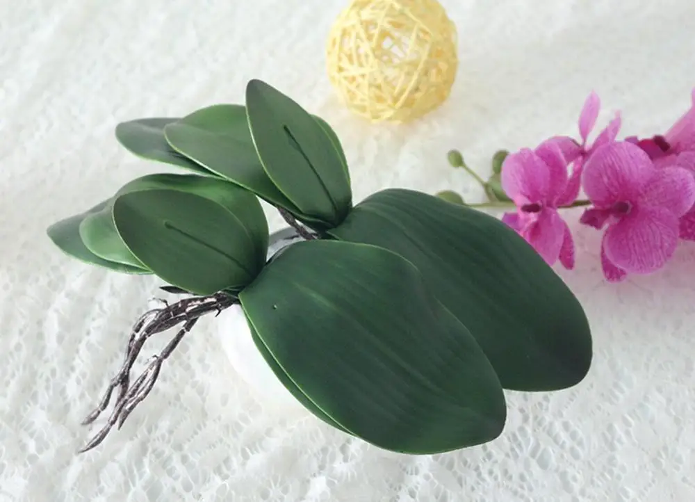 50Pcs Skutočný dotyk phalaenopsis leaf Črepníkové Rastliny DIY Svadobné dekoratívne kvety pomocné kvet Domova Orchidea listy Obrázok 5